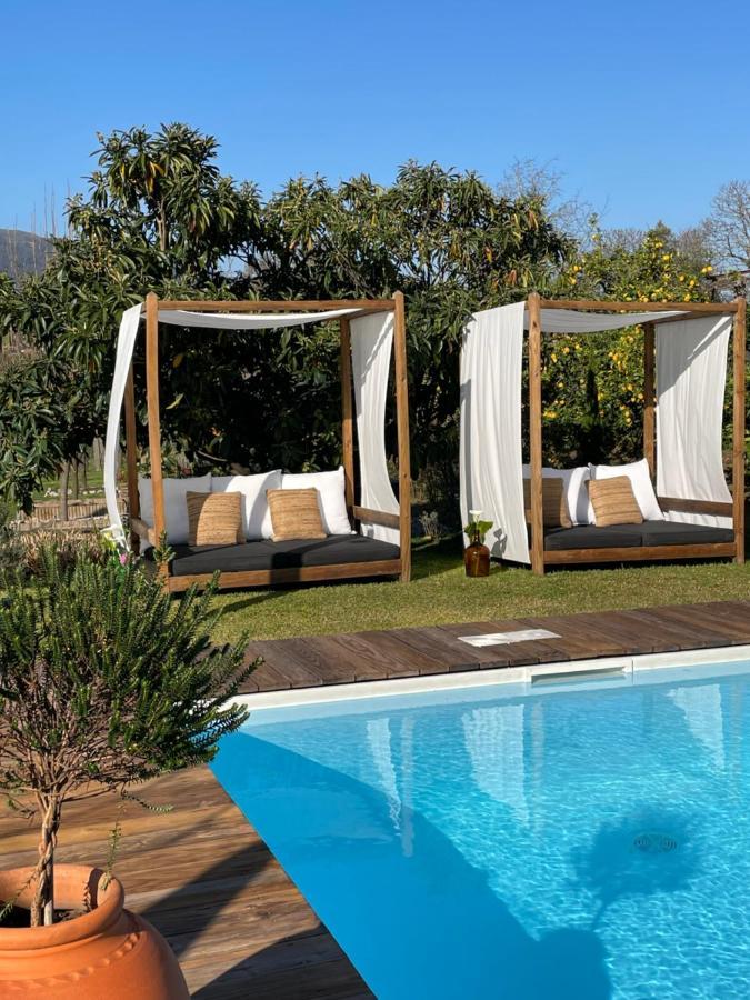 Villa D'Aurora Country Suites Ponte de Lima Eksteriør bilde
